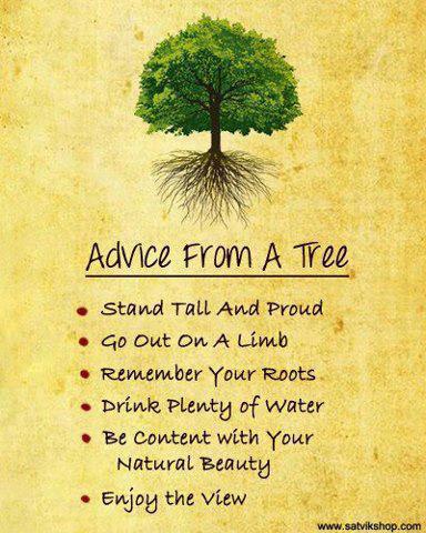 Advice-from-a-Tree-Earth